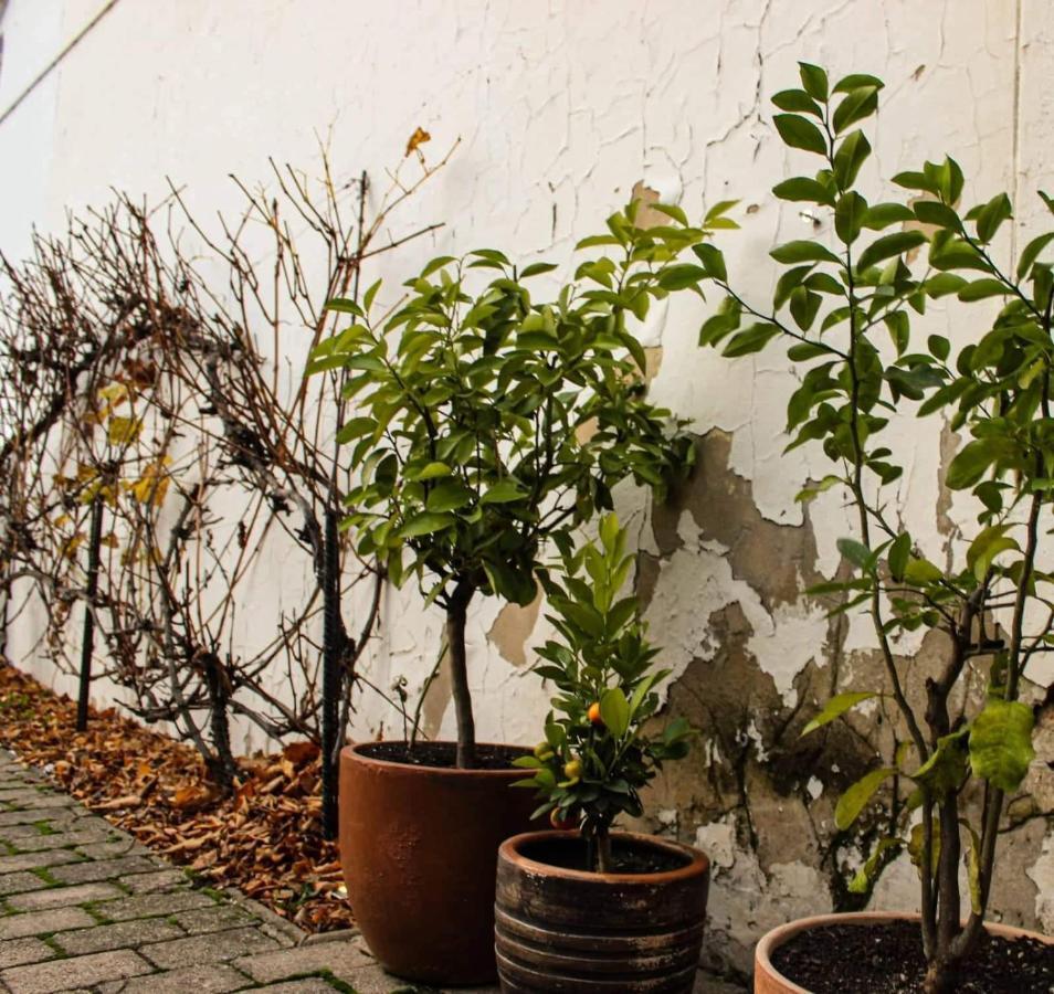 Il Galeone Hotel Stupava Eksteriør billede